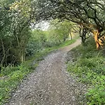 The Wagging Wave - Part Of The The Bay Village With Pool, Gym And Direct Access, Pub, Restaurant, Tennis And Meadows Walks Dom wakacyjny *