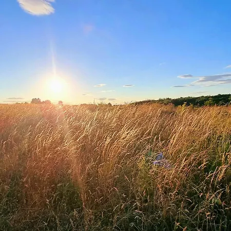 The Wagging Wave - Part Of The The Bay Village With Pool, Gym And Direct Access, Pub, Restaurant, Tennis And Meadows Walks Filey